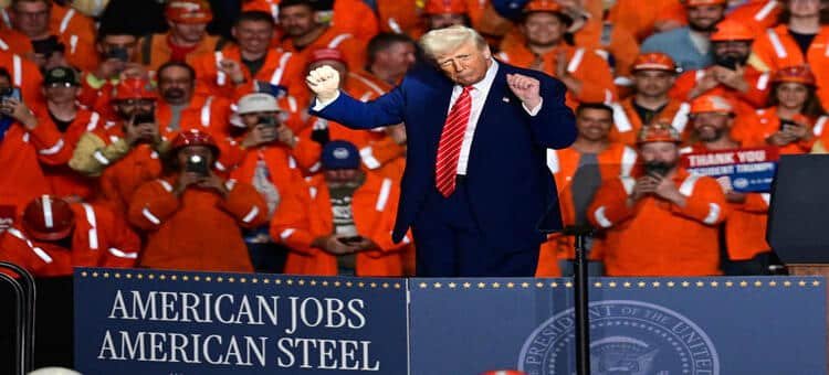 Trump absolvió a dos buzos condenados por liberar a 19 tiburones