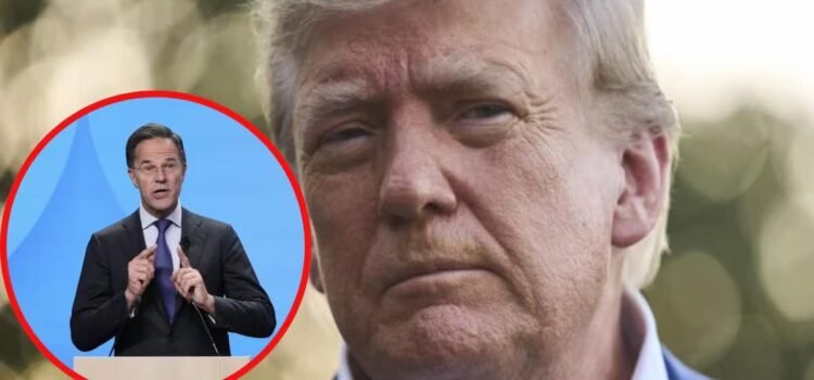 “Querido Donald”: Trump pública la felicitación que recibió del jefe de la OTAN, Mark Rutte “Querido Donald”: Trump pública la felicitación que recibió del jefe de la OTAN, Mark Rutte