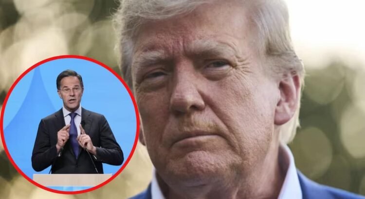 “Querido Donald”: Trump pública la felicitación que recibió del jefe de la OTAN, Mark Rutte
