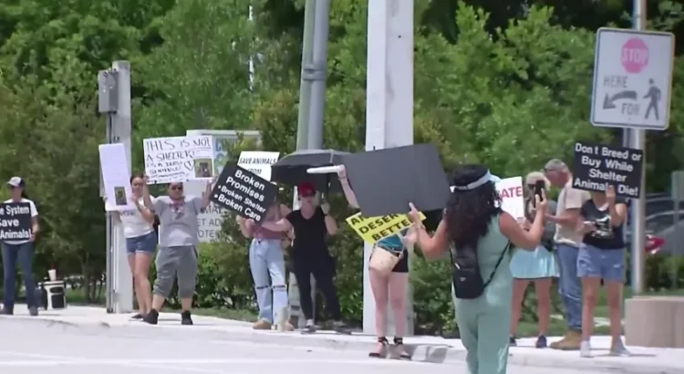 Protestan frente a Jackson Memorial por nueva ley federal; otros trabajadores la celebran