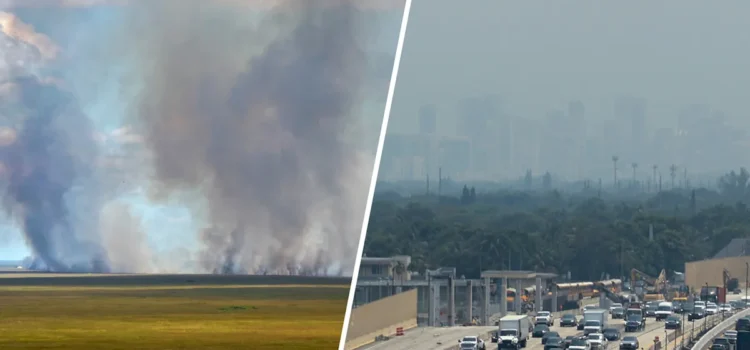 Humo en las carreteras del sur de Florida por incendio forestal en los Everglades