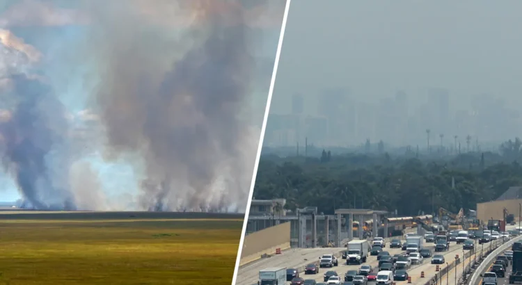 Humo en las carreteras del sur de Florida por incendio forestal en los Everglades