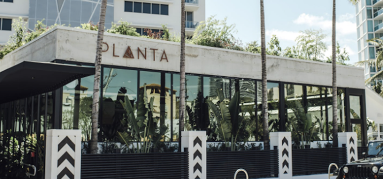 Cuatro gigantescos restaurantes veganos Planta del sur de Florida cierran permanentemente