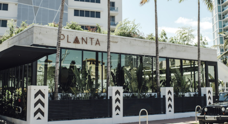 Cuatro gigantescos restaurantes veganos Planta del sur de Florida cierran permanentemente