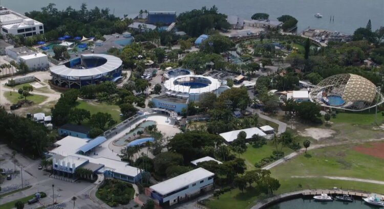Aprueban la compra del Miami Seaquarium por desarrollador de Coconut Grove